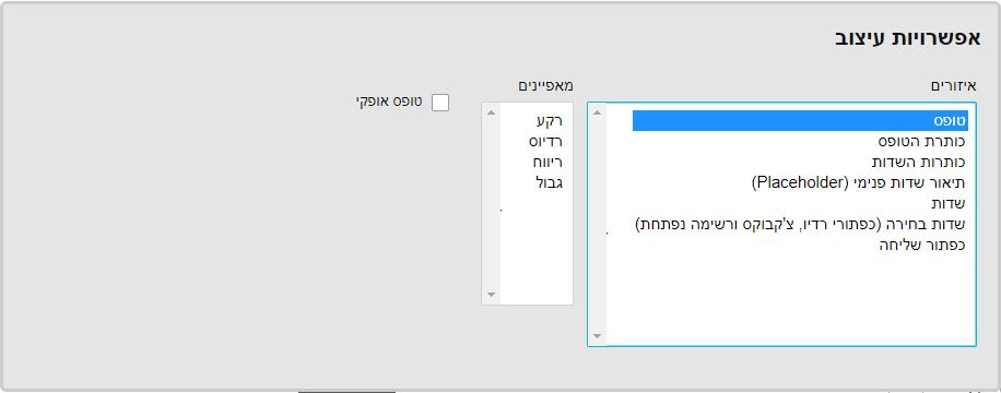 אפשרויות עיצוב בטופס - עיצוב כפתור, כותרות, טופס, שדות, שדות בחירה, תיאור השדות