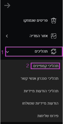 תהליכי קמפיינים